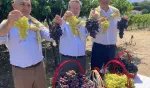 Spil karasında ilk hasatı Vali Ünlü yaptı