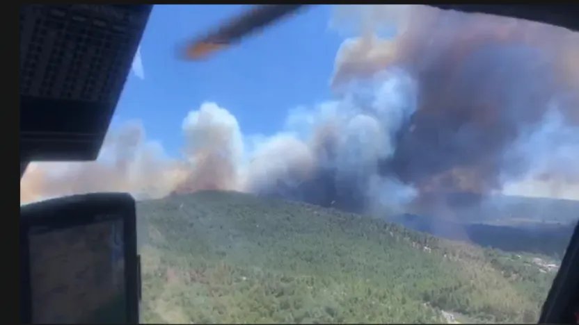 Manisa Akhisar'da Orman Yangını...
